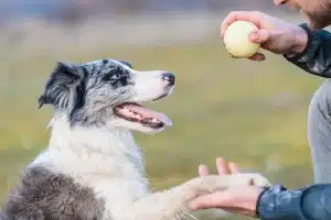 Tips-to-improve-behaviour