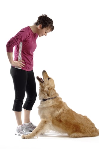 ignoring bad behaviour