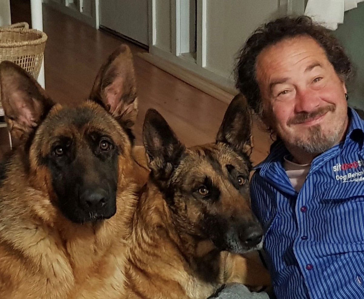 George-Dog-Training-Adelaide